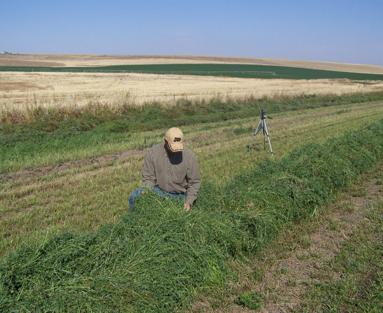 Circle C Superior Hay and Windrow Circle C Superior Hay and Windrow