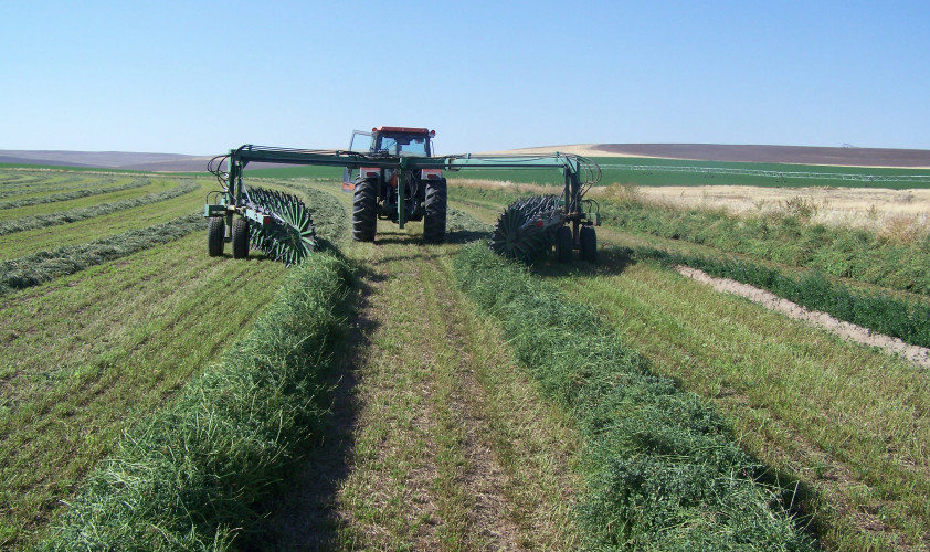 Hay and Windrow3 Circle C Equipment Hay Rake